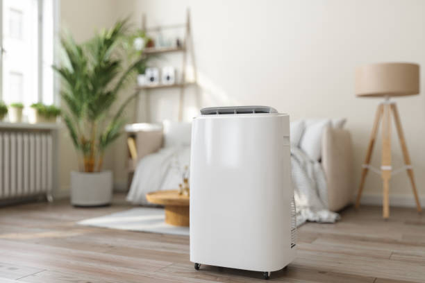 Best HVAC Maintenance Near Me  in Springville, NY
